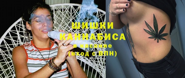 гидропоника Алзамай