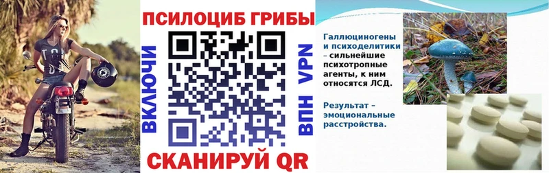 Галлюциногенные грибы Magic Shrooms  МЕГА ССЫЛКА  Ачинск  как найти закладки 